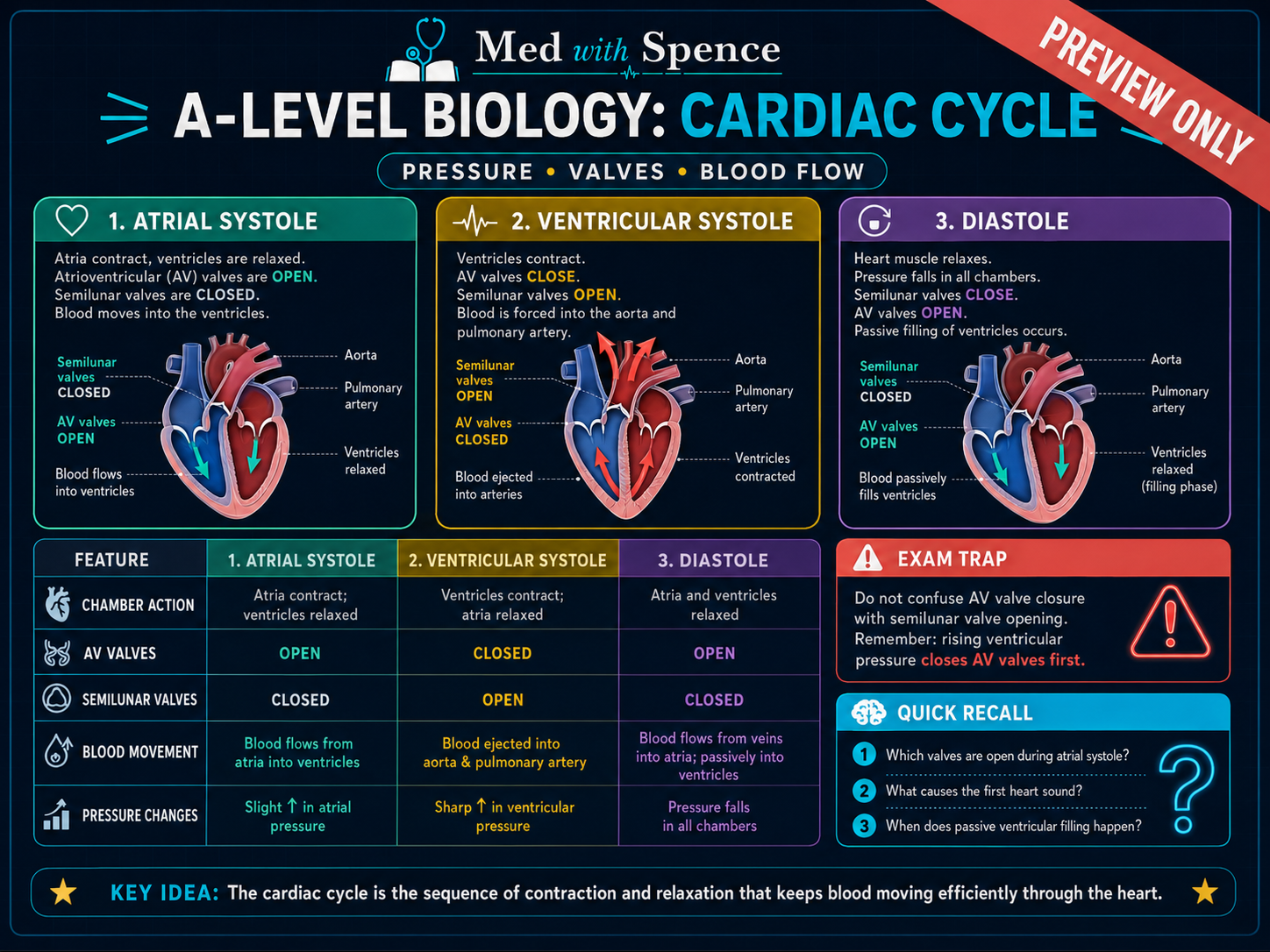 A-Level Cardiac Cycle note preview